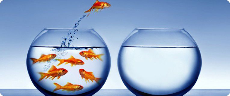 joomla mogelijkheden rounded